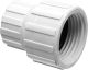PVC Hose Adapter - 3/4
